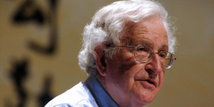 Video. Chomsky: Erdogan è un assassino a capo di un regime autoritario