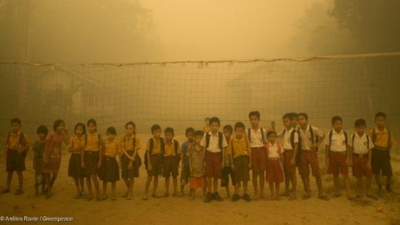 Mirko Busto: "L'olio di palma non fa male? Andatelo a dire ai bambini indonesiani"