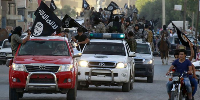 Risolto il mistero delle Toyota in dotazione allo Stato Islamico Risolto il mistero delle Toyota in dotazione allo Stato Islamico
