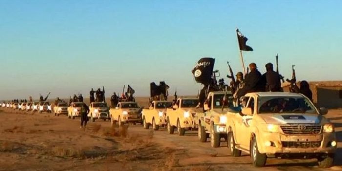 Gli Usa vogliono distruggere l'ISIS ma si oppongono a tutte le forze che lo stanno combattendo sul campo. Noam Chomsky