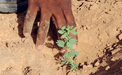 La bonifica del Sahara come strumento per fermare la fuga dall'Africa e dalla fame