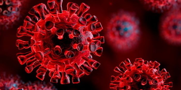 Gli scienziati cinesi scoprono un nuovo ceppo di influenza suina che potrebbe infettare l'uomo e causare pandemia Gli scienziati cinesi scoprono un nuovo ceppo di influenza suina che potrebbe infettare l'uomo e causare pandemia