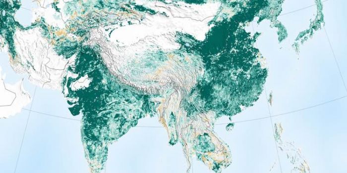 Notizie da un altro pianeta: il rimboschimento di Cina e India