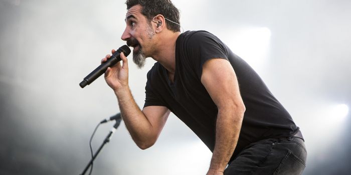 Risultati immagini per serj tankian