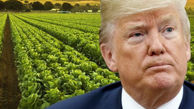 Cina, Global Times: Washington deve pagare un caro prezzo per la guerra commerciale Cina, Global Times: Washington deve pagare un caro prezzo per la guerra commerciale