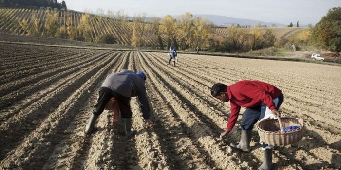 Chi ha ucciso Sacko Soumali? Occhio alle facili conclusioni